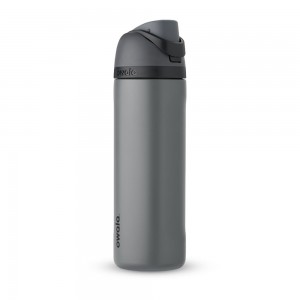 FreeSip Owala FreeSip Material Stainless Steel Size 24 oz Water Bottle Grayt | 5210-ADGSE