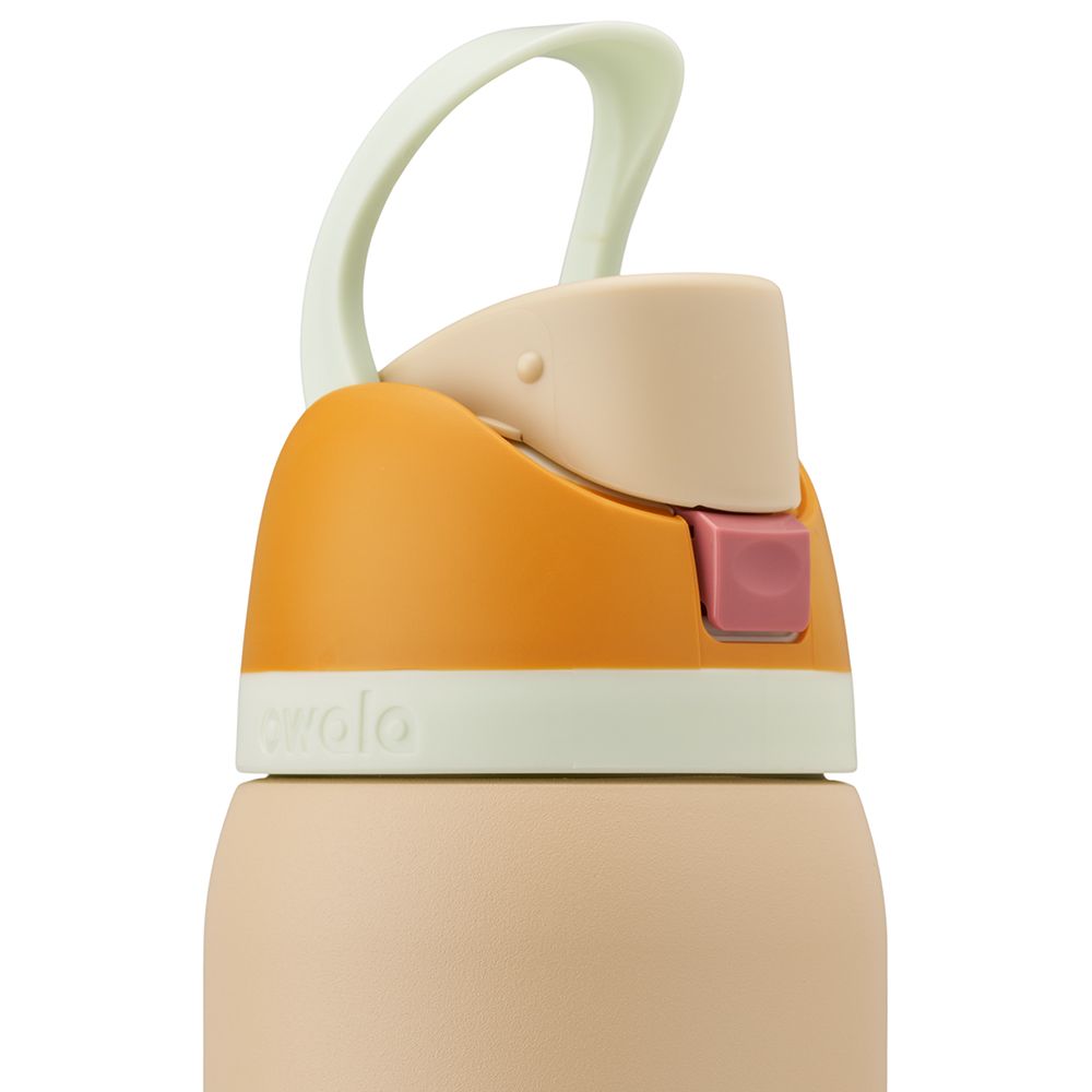 FreeSip Owala FreeSip Material Stainless Steel Size 32 oz Water Bottle Water in the Desert | 0721-MWDYK