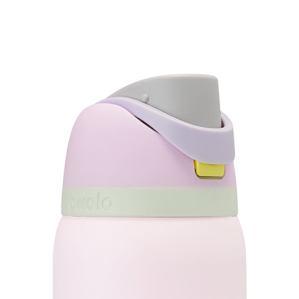 FreeSip Owala FreeSip Material Stainless Steel Size 32 oz Water Bottle Candy Coated | 4583-PIZNC